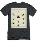 1 18th Century Beetles and Fleas R1 Historic Illustrations T-Shirt