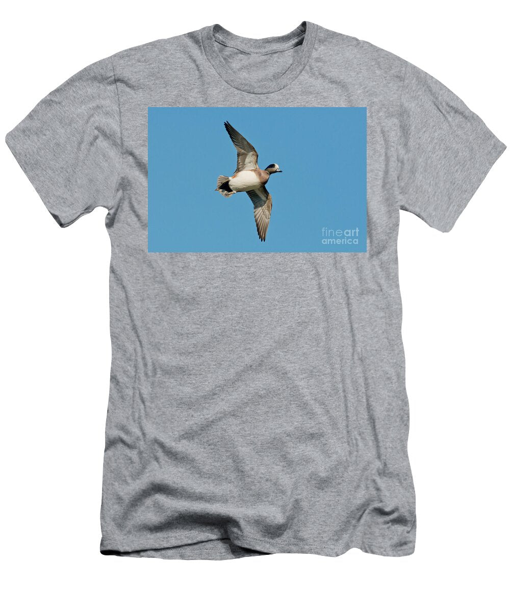 1 American Wigeon Drake Anthony Mercieca T-Shirt