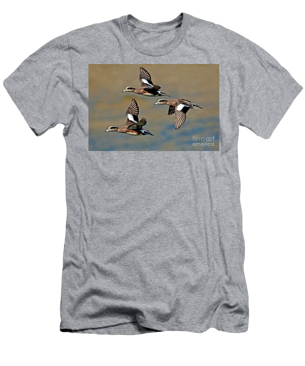 1 American Wigeon Drakes Anthony Mercieca T-Shirt