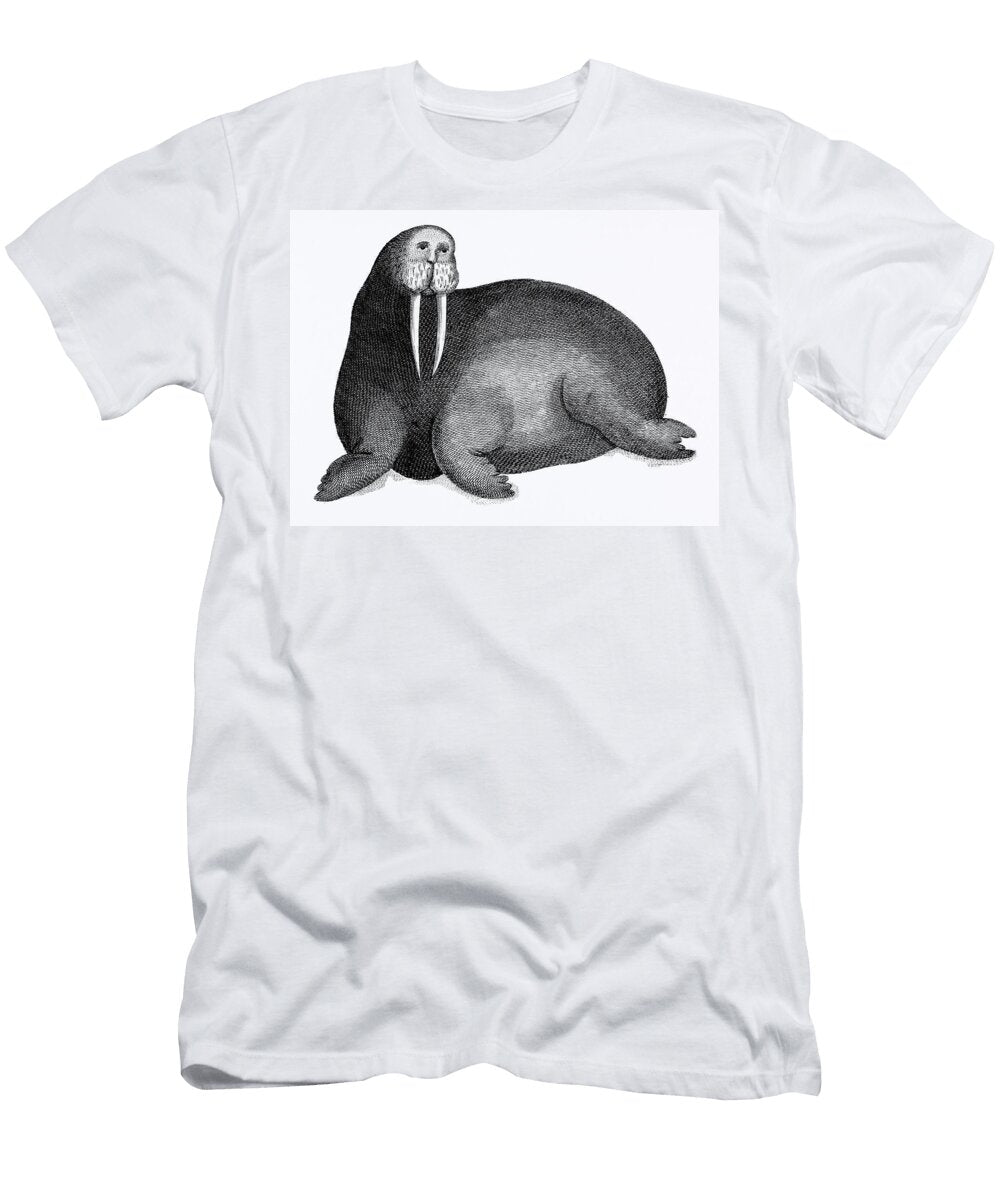 1 Arctic Walrus From Zoological Lectures Delivered At the Royal Institution in the Years 1806 7 Illust George Shaw T-Shirt