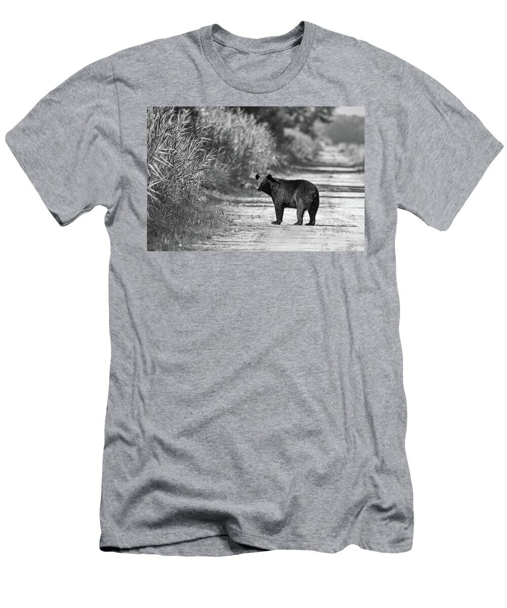 1 Black Bear in Black and White Fon Denton T-Shirt