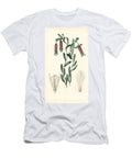 1 Bomarea Dulcis Sweet Collania Collania Dulcis European School T-Shirt