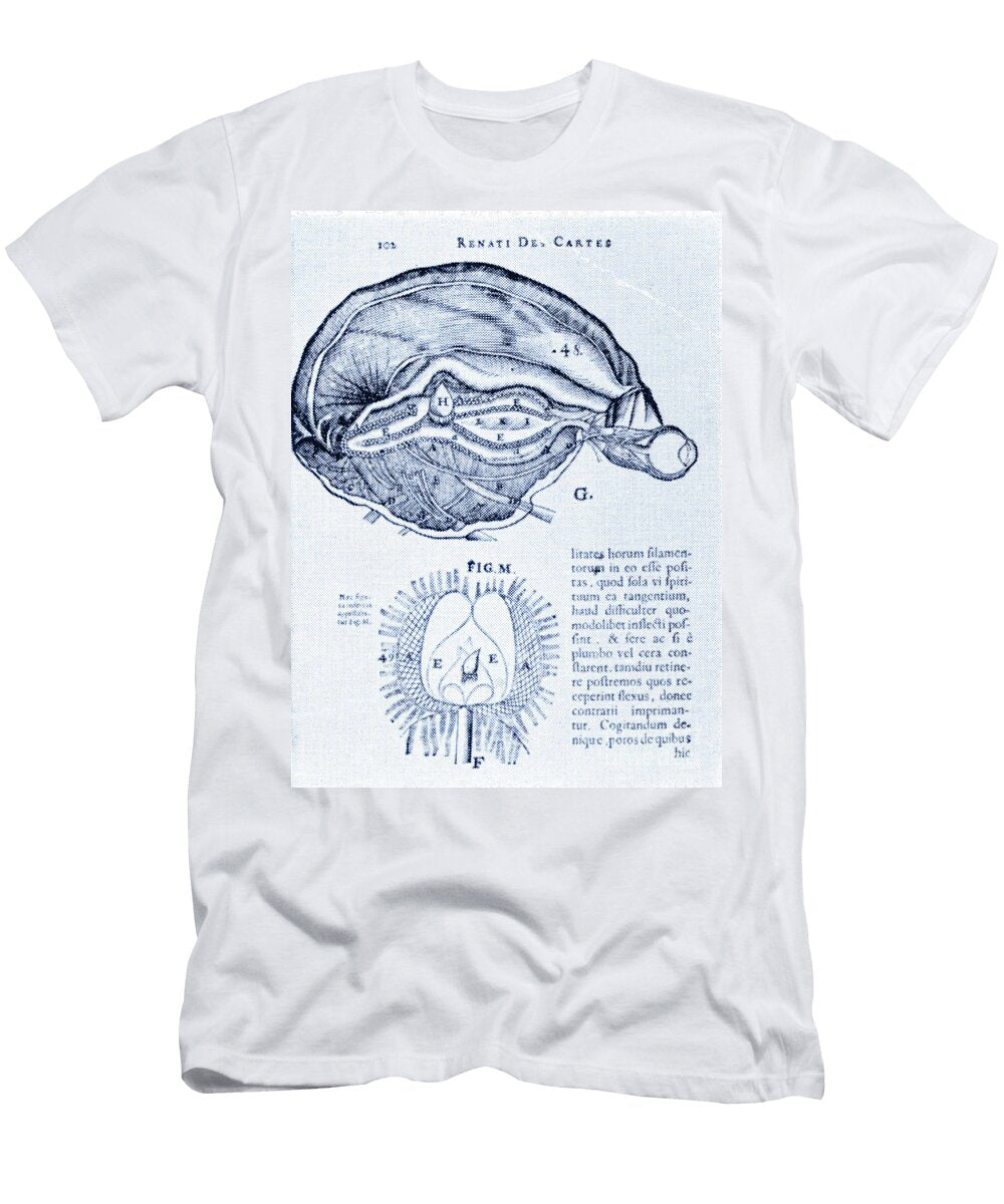 1 Brain and Pineal Gland Science Source T-Shirt