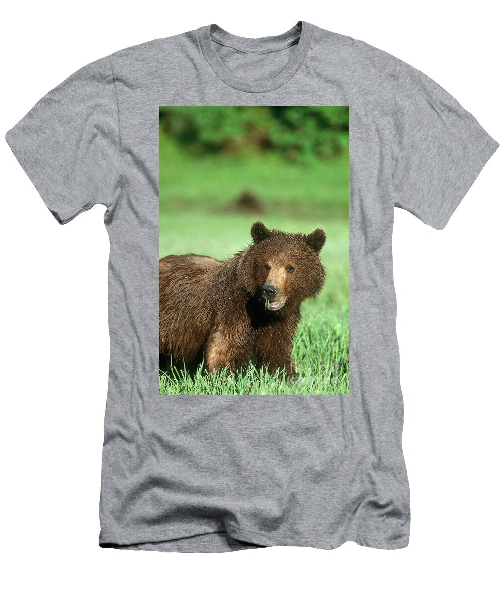 1 Brown Bear Art Wolfe T-Shirt