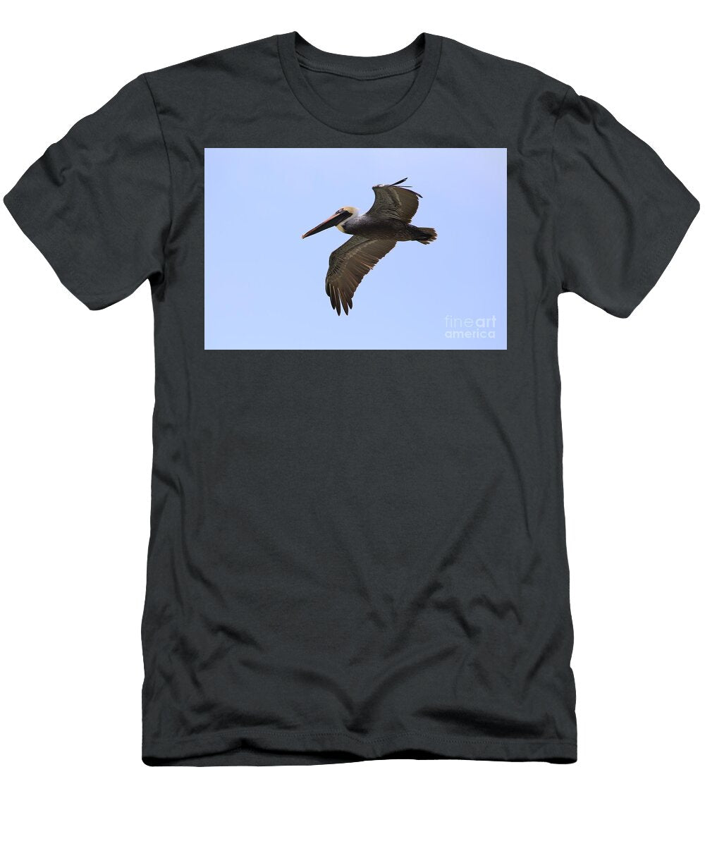 1 Brown Pelican Douglas Sacha T-Shirt
