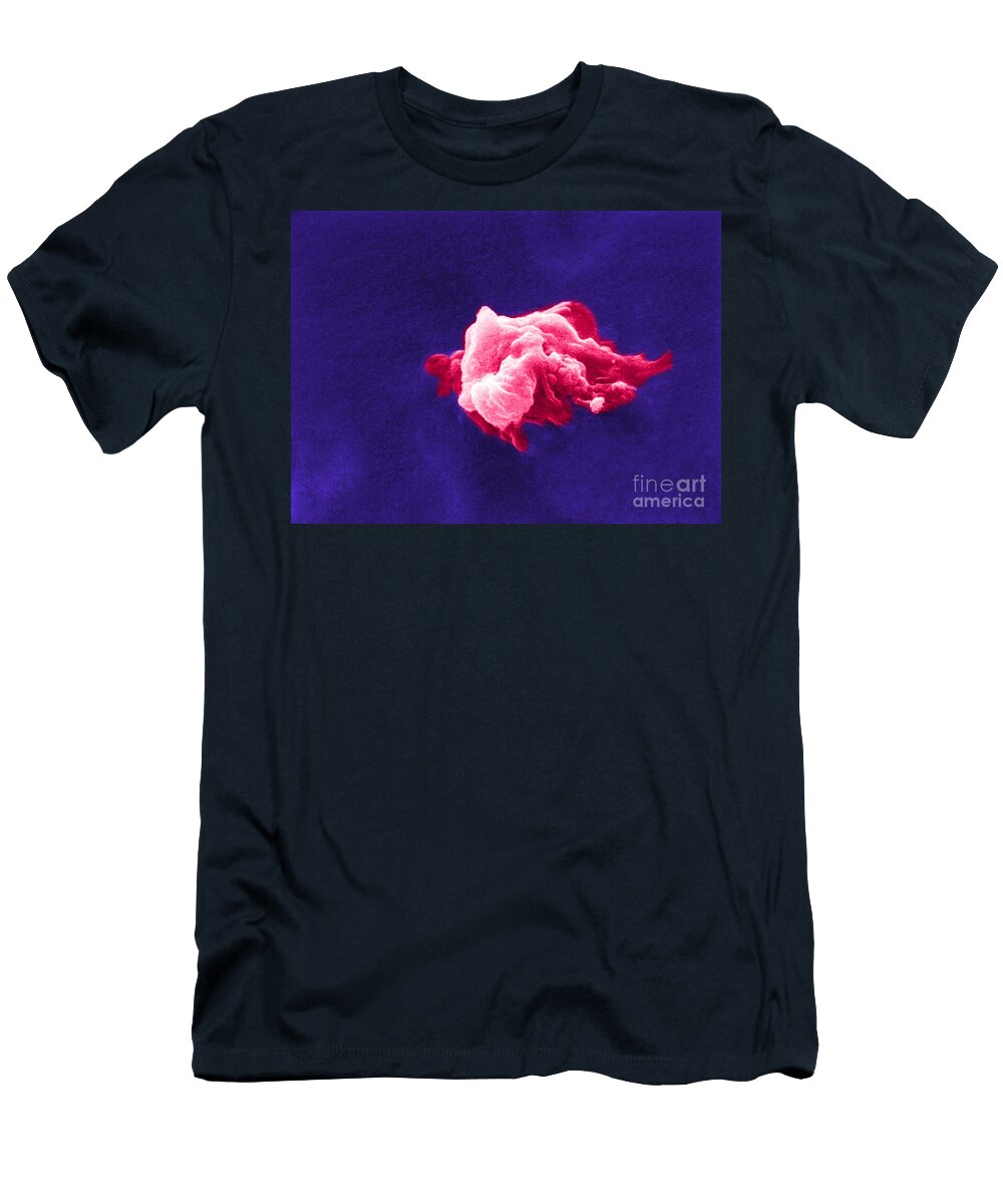1 Cancer Cell Death Sem 6 of 6 Science Source T-Shirt
