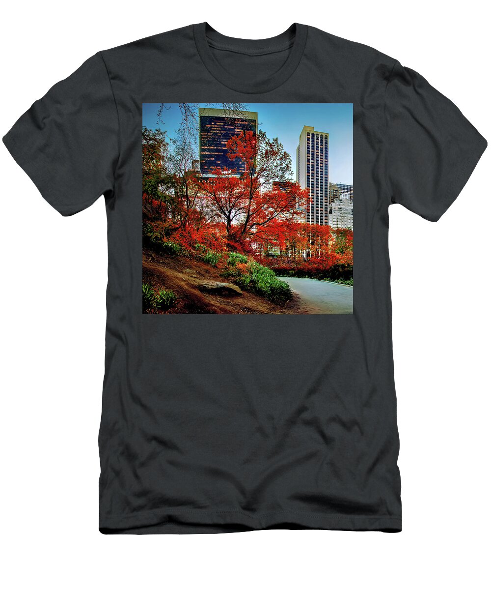 1 Changing of the Seasons Triptych1 Az Jackson T-Shirt