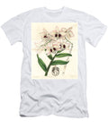 1 Charming Dendrobium Orchid Dendrobium Pulchellum Lady Dalhousies Dendrobium Dendrobium Dalhousieanum European School T-Shirt