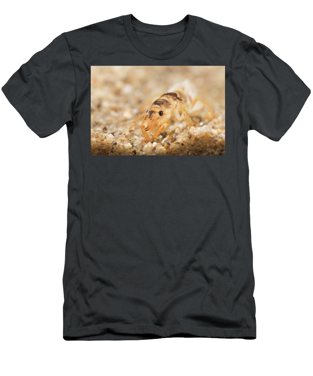 1 Common Burrowing Mayfly Nymph Eupope June Controlled Jan Hamrsky Natureplcom T-Shirt