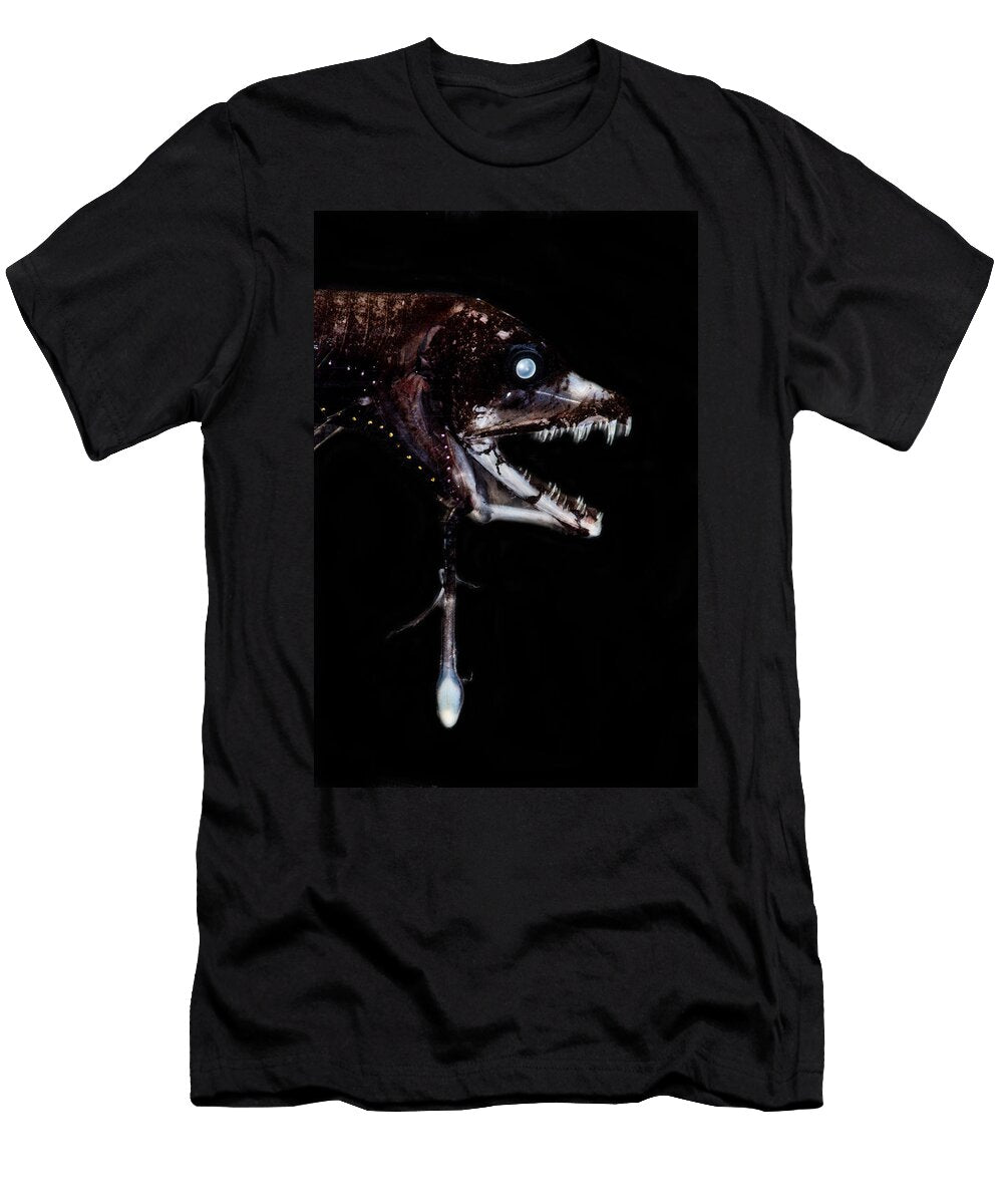 1 Dragonfish Eustomias Triramis Dant Fenolio T-Shirt