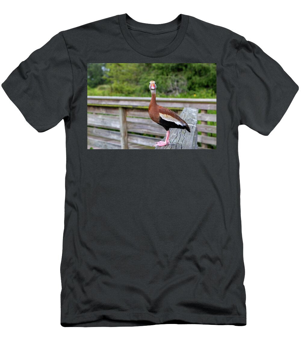 1 Florida Boynton Beach Green Cay Nature Center Wetlands Black Bellied Whistling Duck Laura Diez T-Shirt
