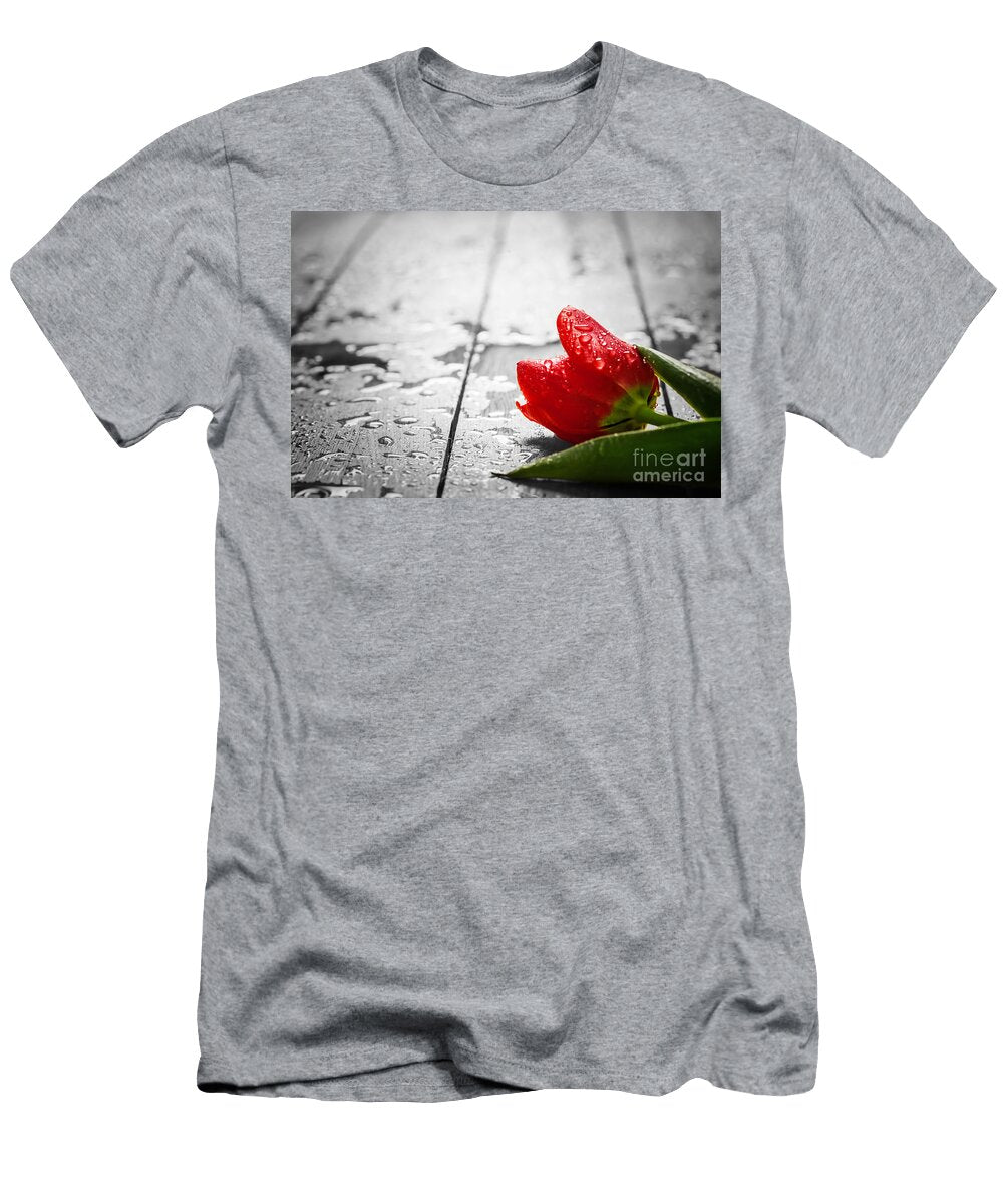1 Fresh Red Tulip Flower on Wood Michal Bednarek T-Shirt