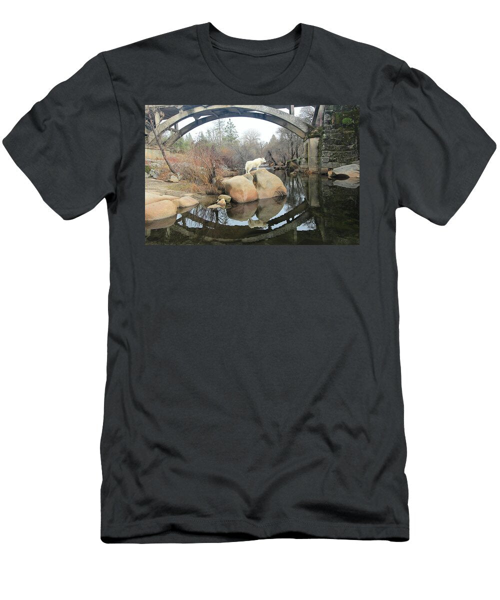1 Hello Sean Sarsfield T-Shirt