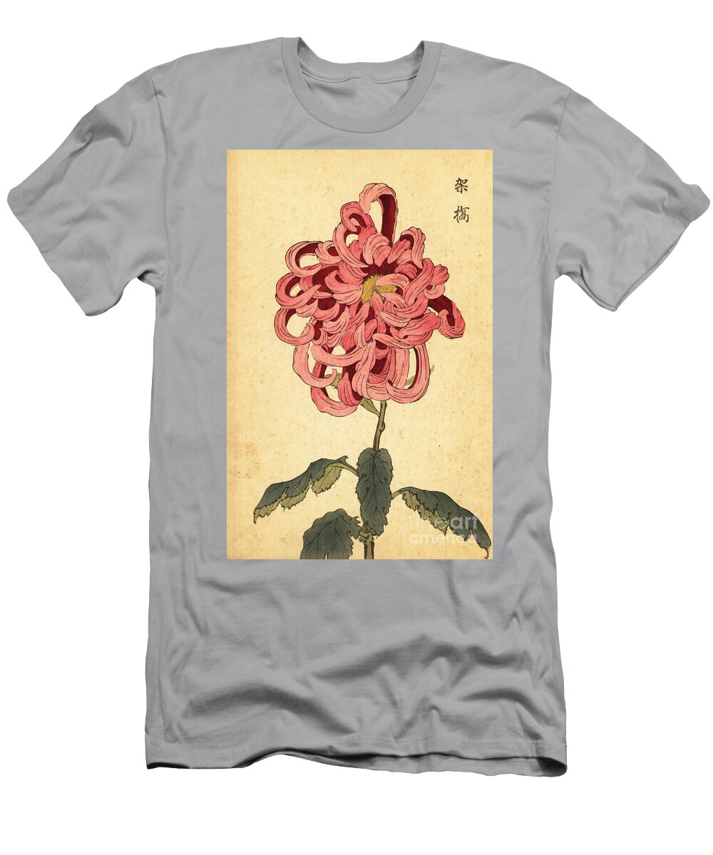 1 Hybrid Pink and Crimson Chrysanthemum Keika Hasegawa T-Shirt