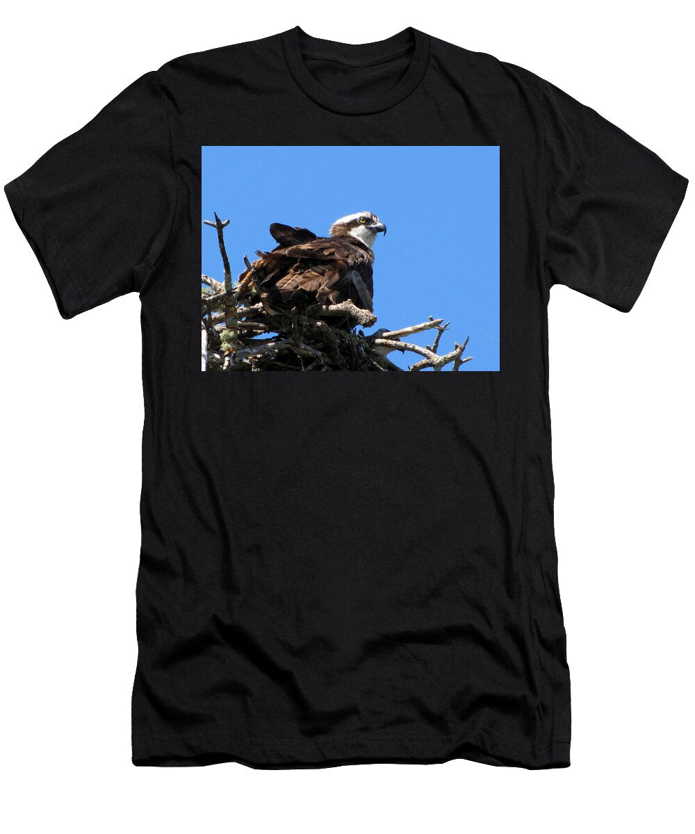 1 Nesting Osprey Chris Mercer T-Shirt