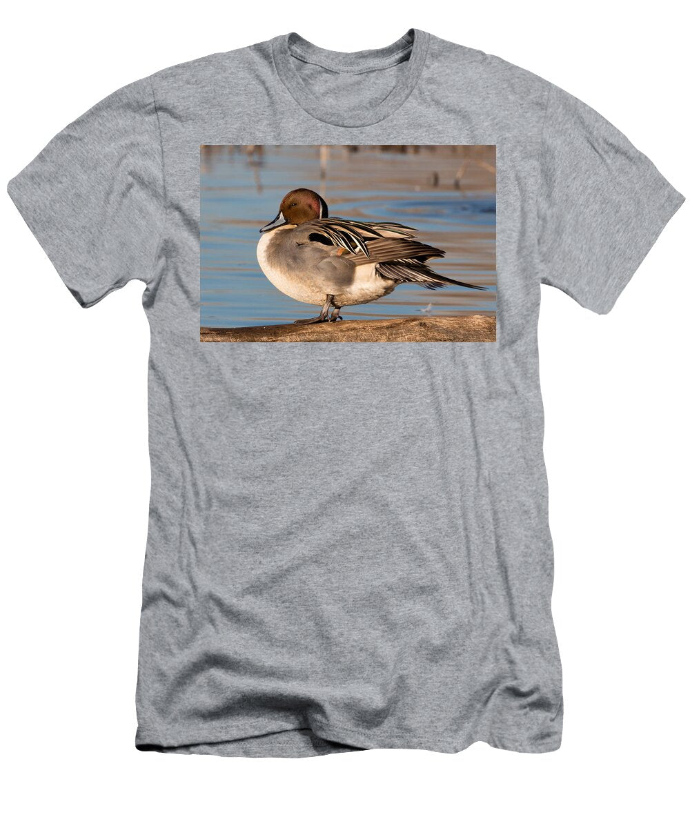 1 Northern Pintail Drake Kathleen Bishop T-Shirt