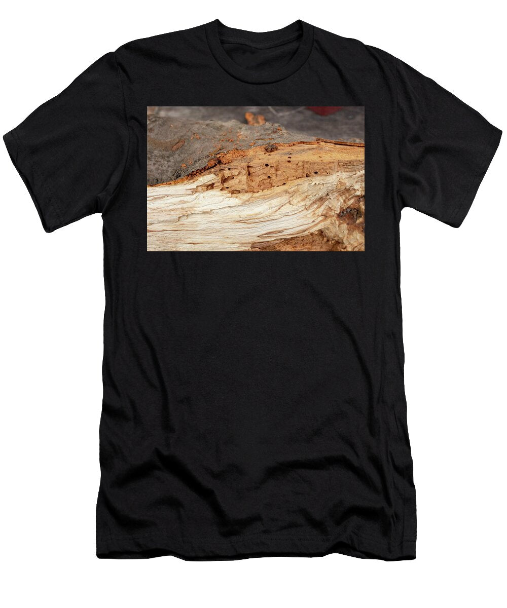 1 Old Rotten Wood Structure Damaged By Wood Worms Anobium Punctat Dorin Puha T-Shirt