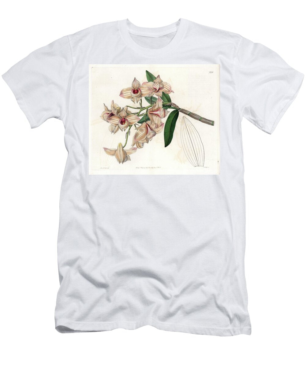 1 Orchid Variety of Dendrobium Sydenham Teast Edwards T-Shirt