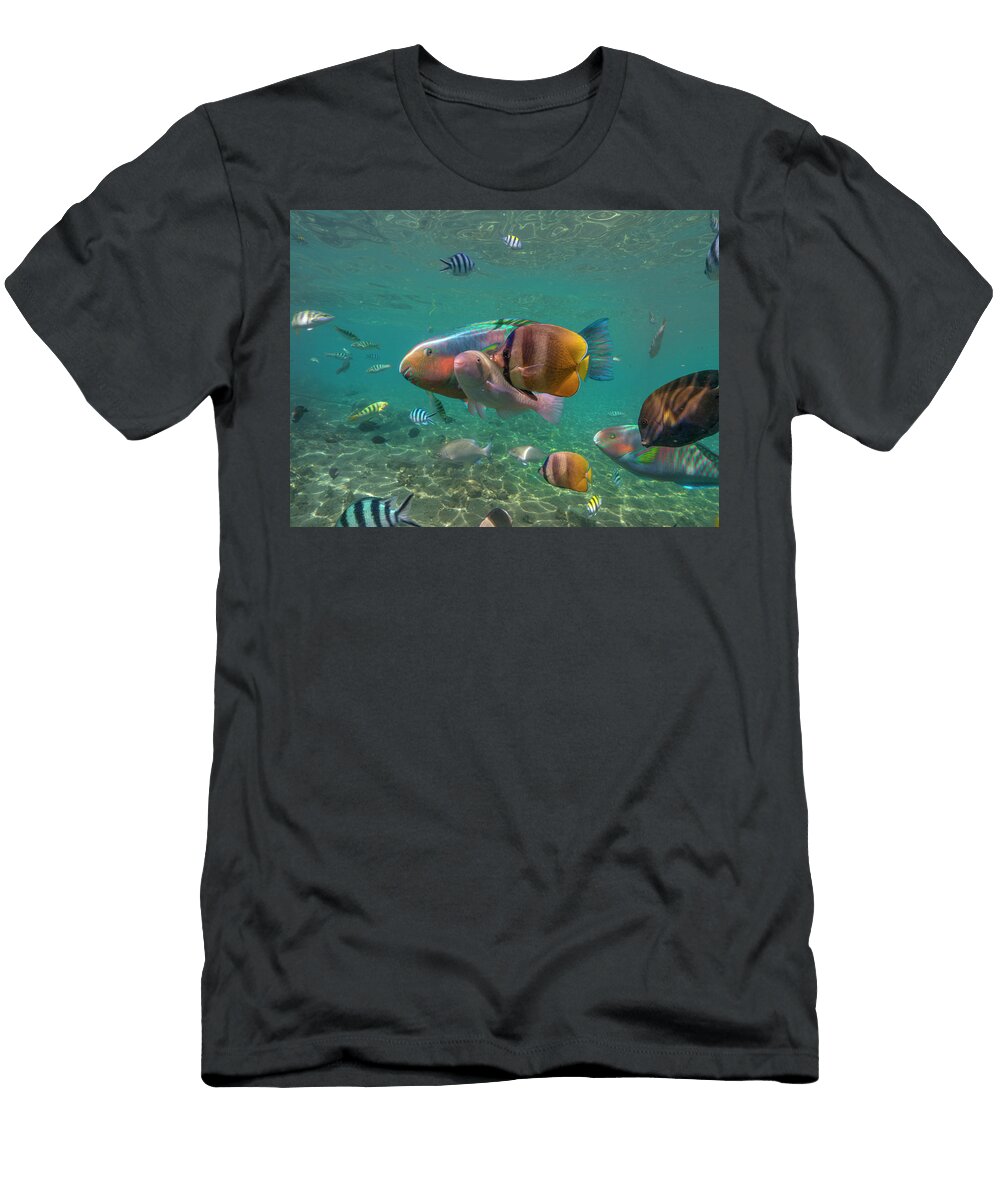 1 Parrotfish Butterflyfish and Sergeant Major Damselfish Negros Oriental Philippines Tim Fitzharris T-Shirt