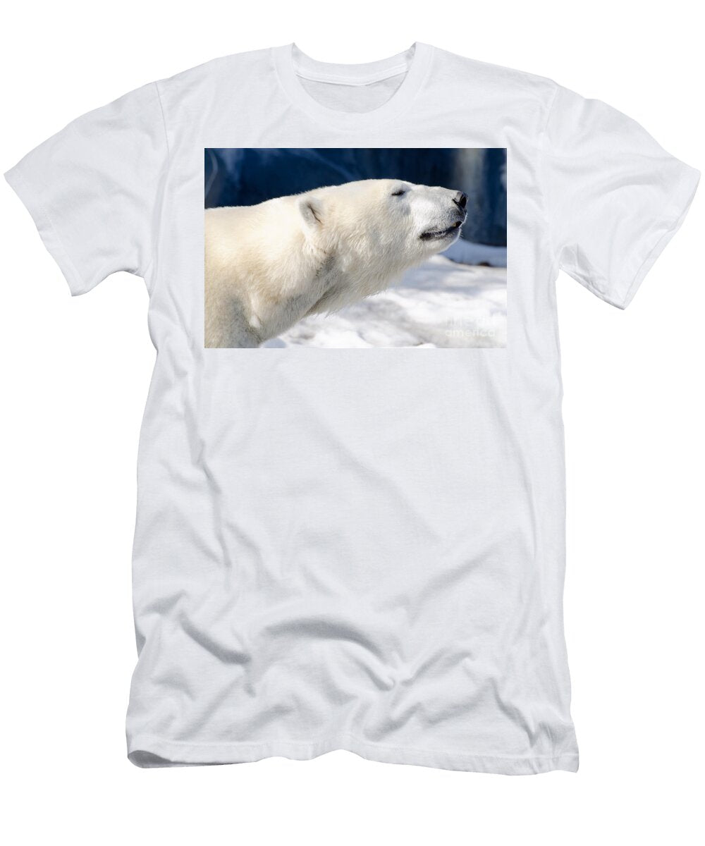 1 Polar Bear Les Palenik T-Shirt