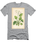 1 Primevere Tall Pale Primrose Primula Involucrata Captain Munros Primrose Primula Munroi European School T-Shirt