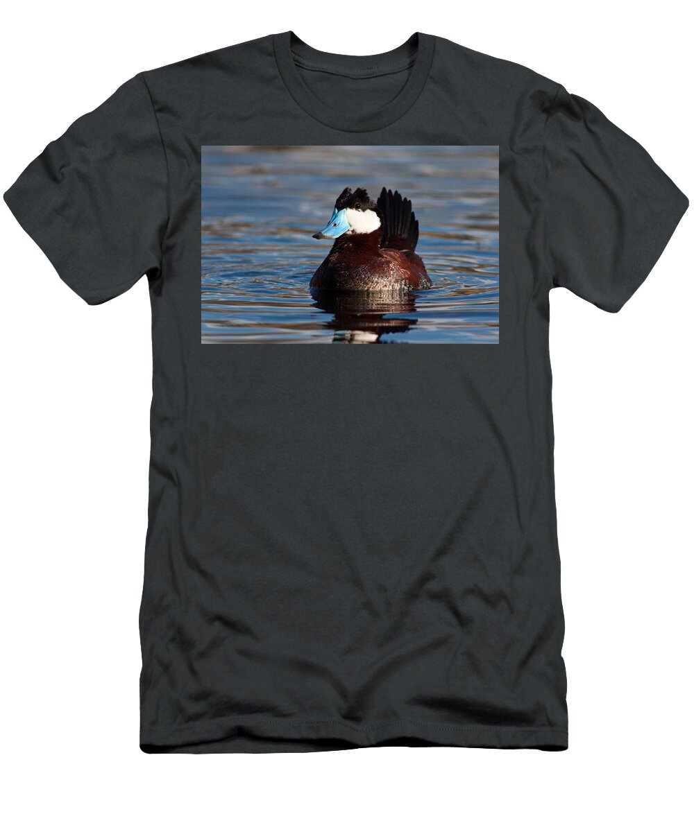 1 Ruddy Duck Drake Craig K Lorenz T-Shirt