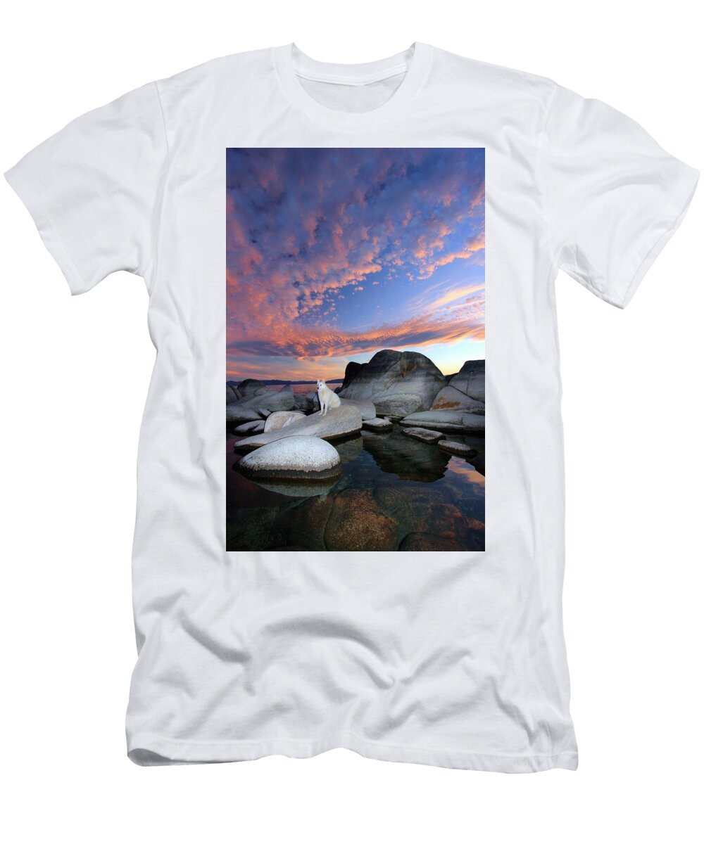 1 Sit Still for a Portrait Sean Sarsfield T-Shirt