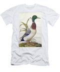 1 Study of a Mallard Duck C1790 German School T-Shirt