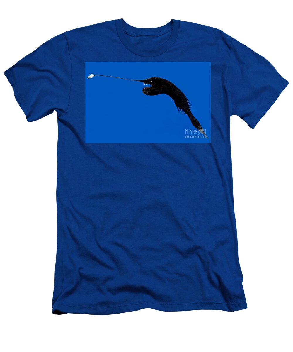 1 Whipnose Seadevil Dant Fenolio T-Shirt