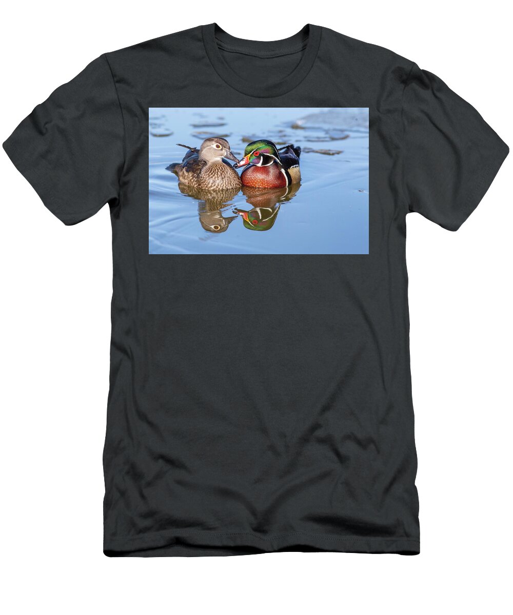 1 Wood Duck Couple Lynn Hopwood T-Shirt