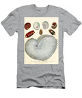 10 Encyclopaedia Londinensis Conchology Pl John Chapman English Active T-Shirt