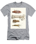 11 Dr Sulzers Short History of Insects Pl Johann Heinrich Sulzer Swiss T-Shirt