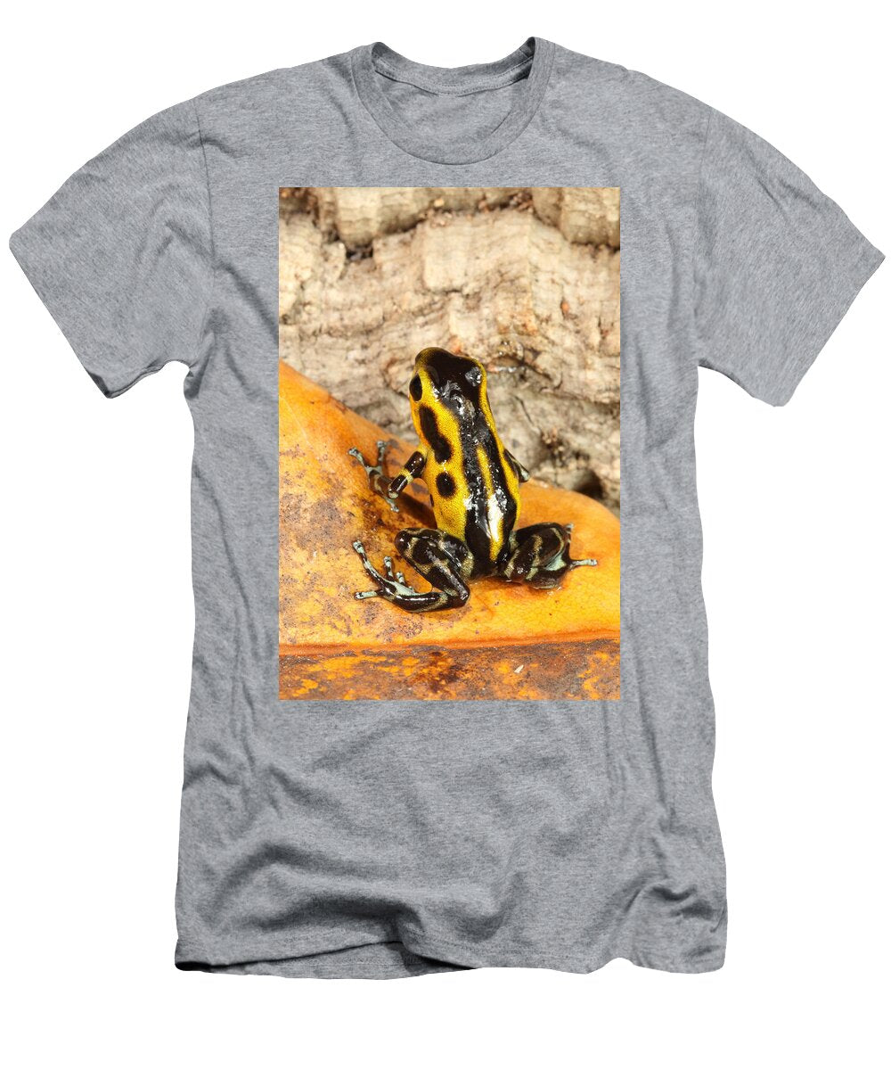 11 Poison Dart Frog Oophaga Pumilio David Kenny T-Shirt