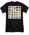 12 Symbols of the Occult Pierre Blanchard T-Shirt