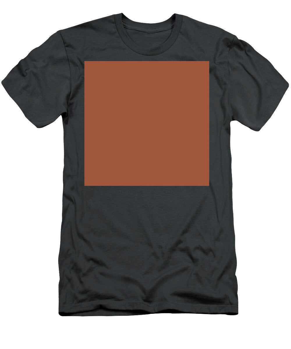 123 Kaki Shibu Iro Persimmon Varnish Color Art Print Japanese Traditional Colours Wan Razak T-Shirt