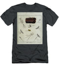 18th Century Beetles and Fleas R1 Historic Illustrations T-Shirt