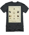 18th Century Beetles and Fleas R3 Historic Illustrations T-Shirt