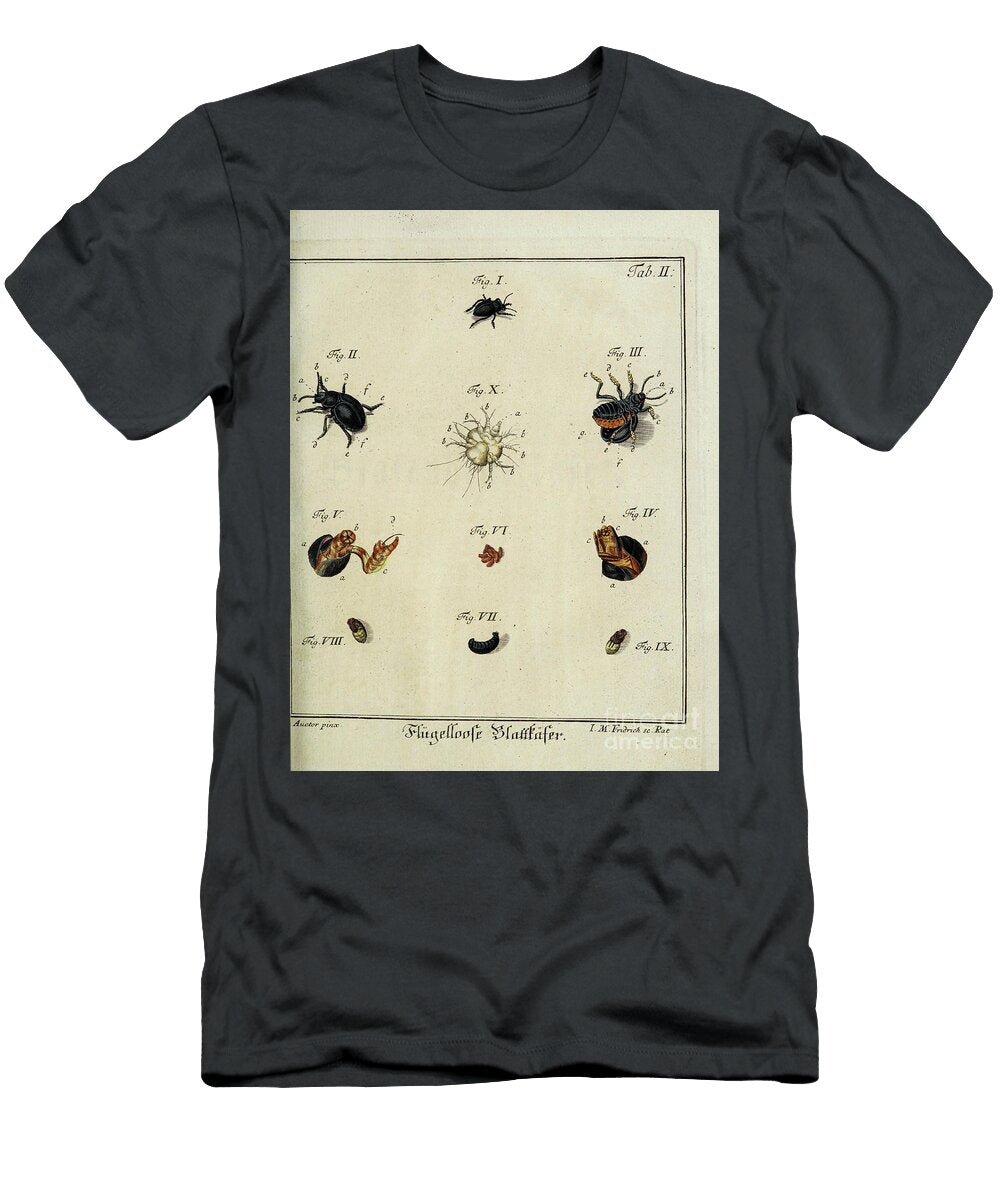 18th Century Beetles and Fleas R3 Historic Illustrations T-Shirt
