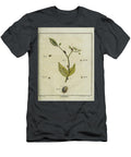 18th Century Beetles and Fleas R4 Historic Illustrations T-Shirt