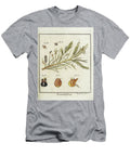 18th Century Beetles and Fleas R5 Historic Illustrations T-Shirt