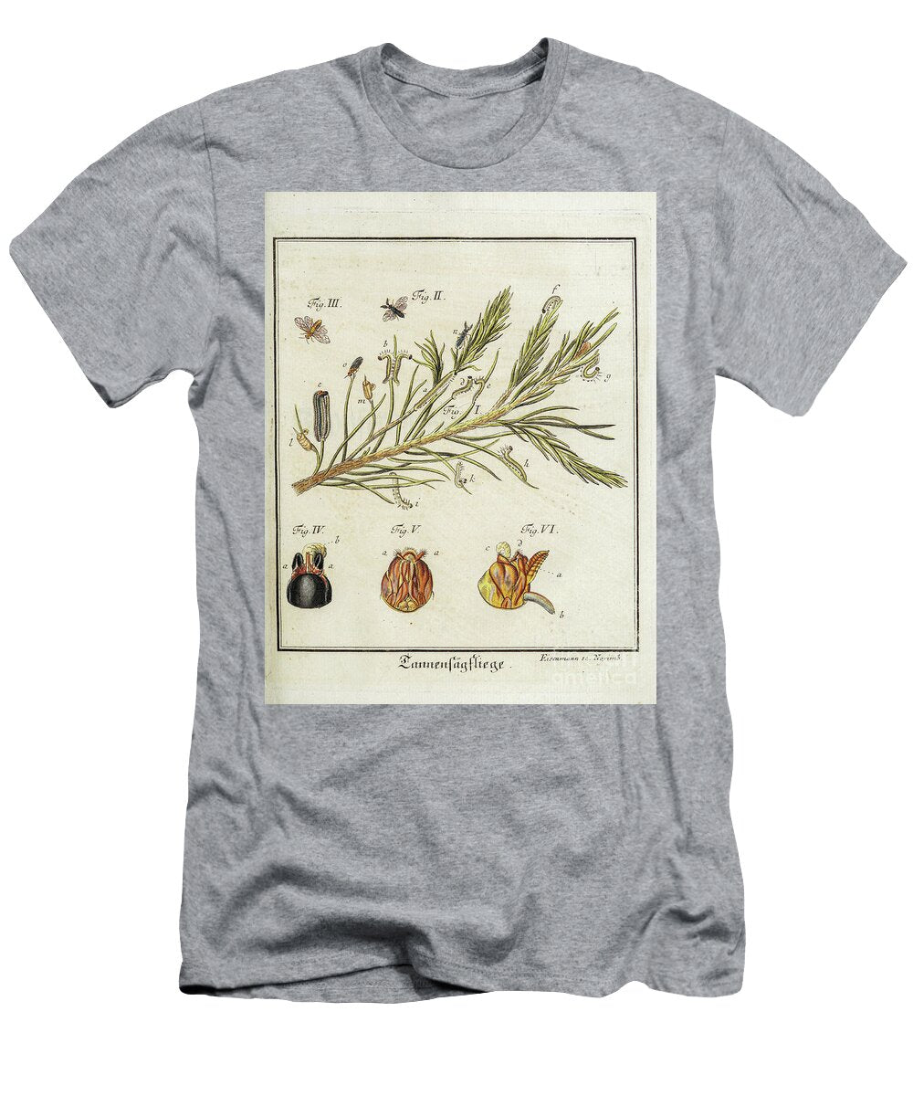 18th Century Beetles and Fleas R5 Historic Illustrations T-Shirt