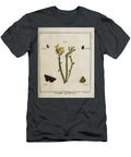 18th Century Butterfly Study R1 Historic Illustrations T-Shirt