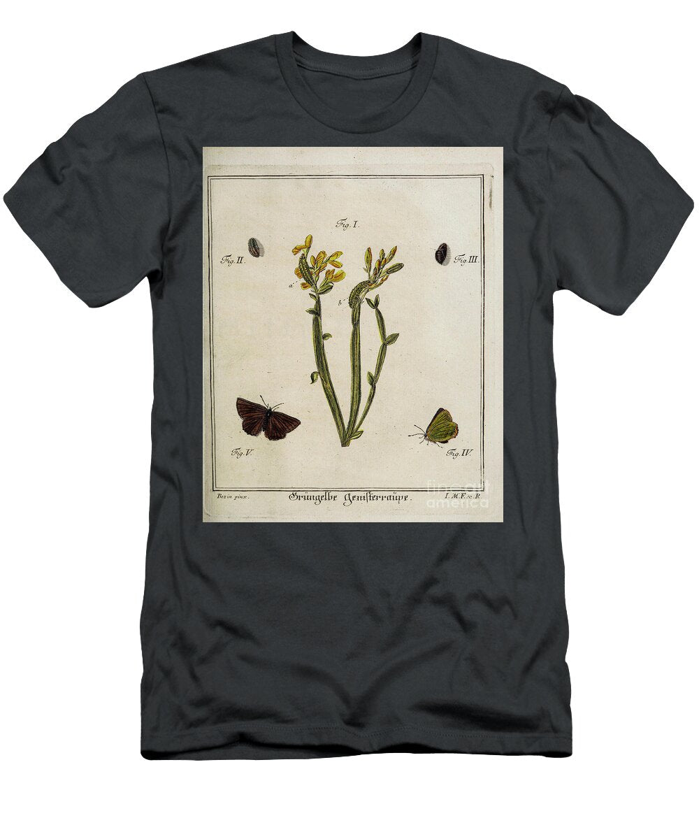 18th Century Butterfly Study R1 Historic Illustrations T-Shirt