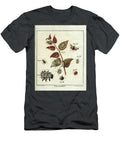18th Century Butterfly Study R2 Historic Illustrations T-Shirt