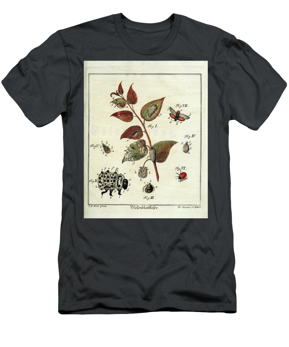 18th Century Butterfly Study R2 Historic Illustrations T-Shirt