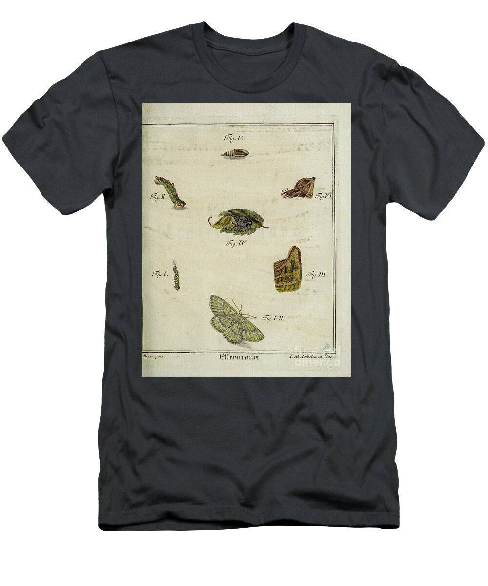 18th Century Butterfly Study R3 Historic Illustrations T-Shirt