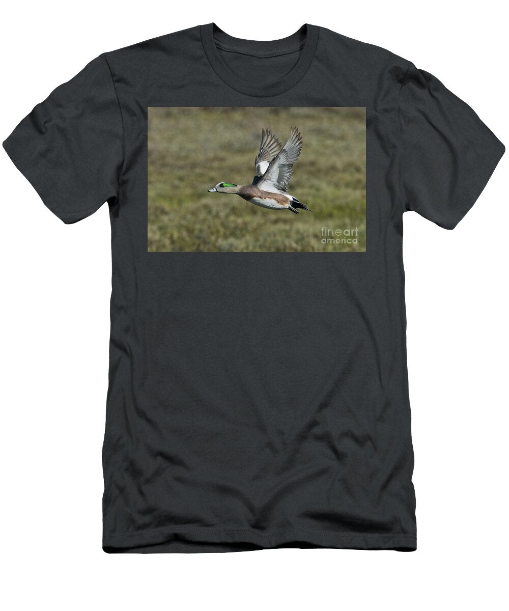 2 American Wigeon Drake Anthony Mercieca T-Shirt
