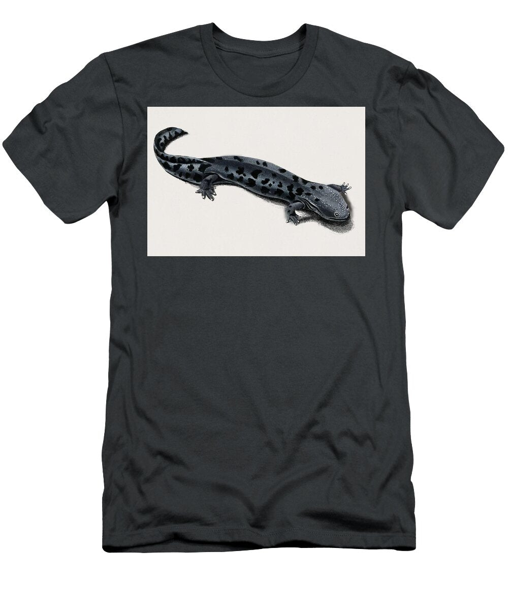 2 Hellbender Salamander Cryptobranchus Alleganiensis Illustrated By Charles Dessalines D Orbigny 1 Celestial Images T-Shirt