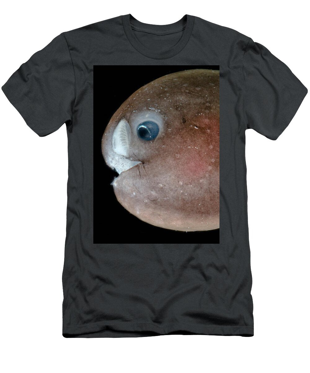 2 Male Anglerfish Linophrynidae Dant Fenolio T-Shirt