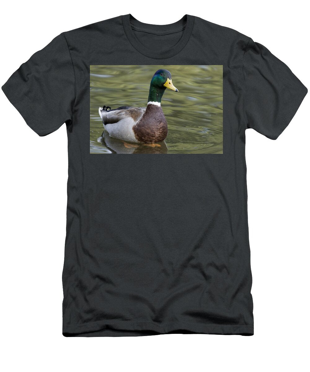 2 Mallard Drake Santa Cruz Monterey Bay Sebastian Kennerknecht T-Shirt